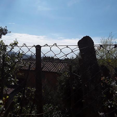 Villetta A Schiera Nei Pressi Del Mare Livorno Eksteriør bilde
